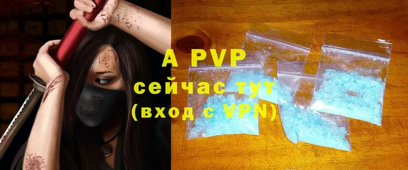 A PVP СК КРИС Волжск